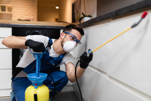 Best Flea Control Services  in Alba, NY