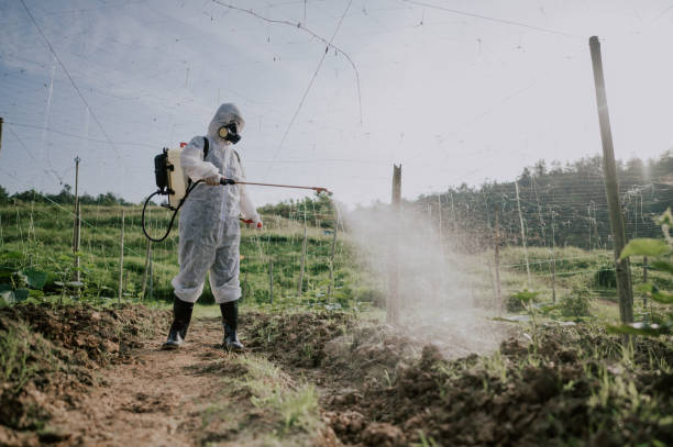 Best Pest Prevention Services  in Alba, NY