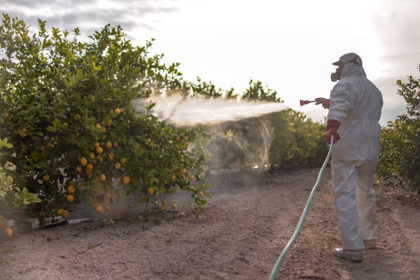 Insect Control in Albany, NY