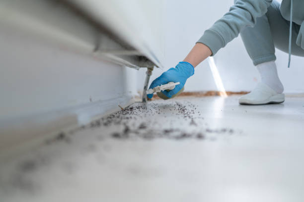 Pest Control for Restaurants in Albany, NY